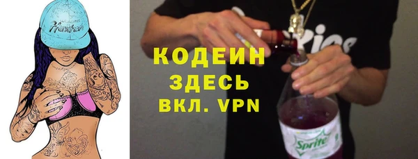 дурь Алексин