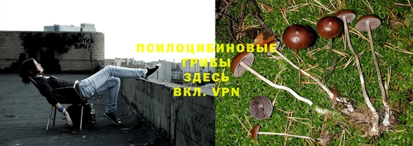 mix Алексеевка